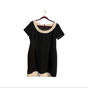 Black Jones and New York size 16